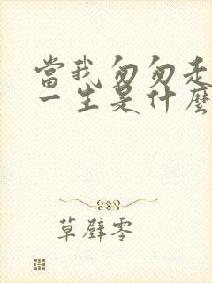 当我匆匆走完这一生是什么歌