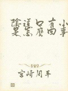 阴道口有小肉粒是怎么回事