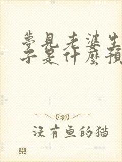 梦见老婆生小孩子是什么预兆