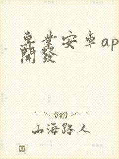 专业安卓app开发