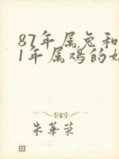 87年属兔和81年属鸡的姻缘