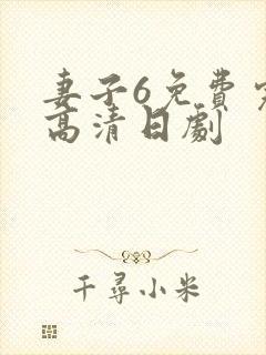 妻子6免费完整高清日剧