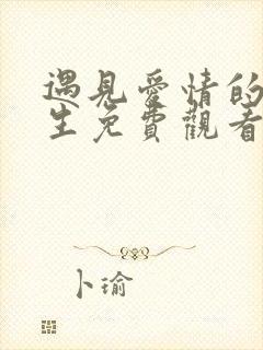 遇见爱情的利先生免费观看电视剧