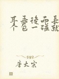 耳垂后面长了一个包一碰就疼