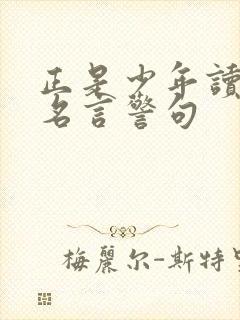 正是少年读书时名言警句