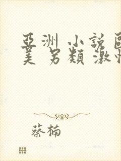 亚洲 小说 欧美 另类 激情