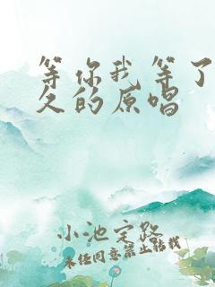 等你我等了那么久的原唱