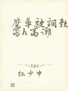 魔尊被调教成禁脔h高潮