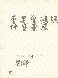 曾是惊鸿照影来什么意思