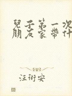 儿子第一次去女朋友家带什么礼物