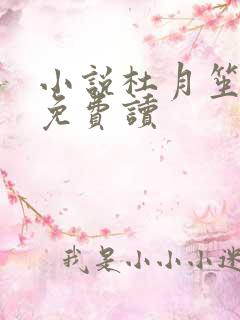 小说杜月笙全传免费读