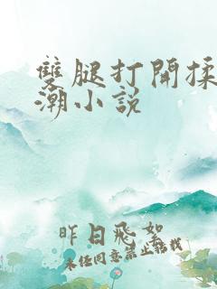 双腿打开揉弄高潮小说