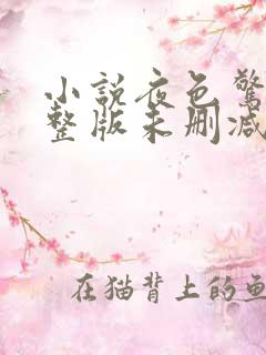 小说夜色惊人完整版未删减小说