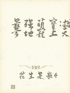 最强萌宝:总裁爹地宠上天 安小秋