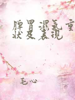 脾胃湿气重的症状及表现