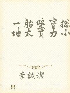 一胎双宝总裁爹地太卖力小说