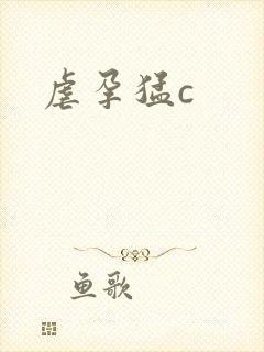 虐孕猛c