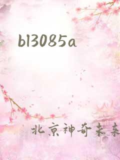 bl3085a