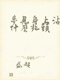 梦见身上沾屎是什么兆头