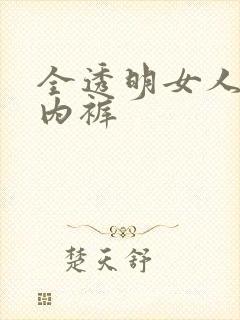 全透明女人内衣内裤