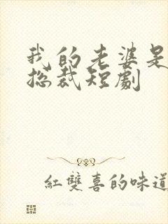 我的老婆是美女总裁短剧