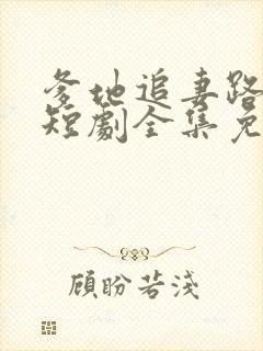 爹地追妻路漫漫短剧全集免费观看