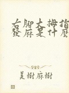 右脚大拇指偶尔发麻是什么原因