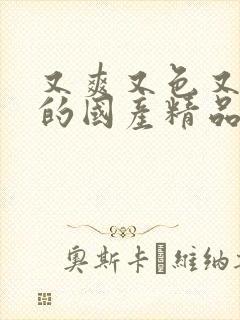 又爽又色又高潮的国产精品