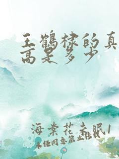 王鹤棣的真实身高是多少