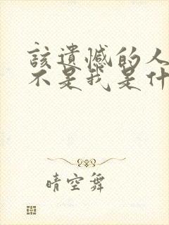 该遗憾的人是你不是我是什么歌