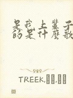 是我上辈子欠你的是什么歌歌词是什么意思