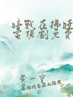 暗战在拂晓之前电视剧免费