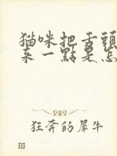 猫咪把舌头吐出来一点是怎么回事