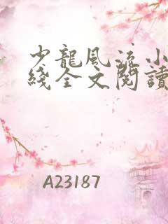 少龙风流小说在线全文阅读