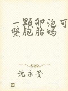 一颗卵泡可以怀双胞胎吗