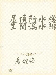 屋顶防水楼顶卫生间漏水维修