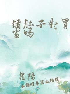 猪肚子对胃有好处吗