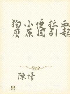 狗小便拉血是什么原因引起的呢