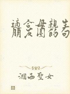 适合母亲生日发朋友圈的句子