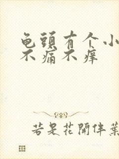 龟头有个小肉粒不痛不痒