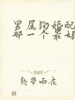 男属狗婚配生肖哪一个最好呢