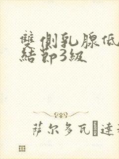 双侧乳腺低回声结节3级