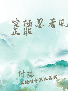 究极忍者风暴4正版