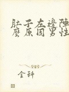 肚子左边阵痛什么原因男性