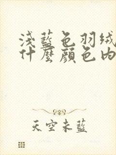 浅蓝色羽绒服配什么颜色内搭好看