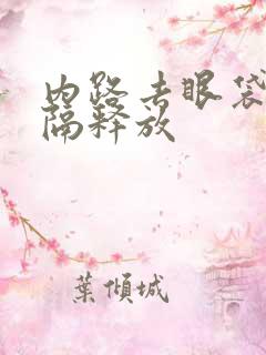 内路去眼袋加眶隔释放