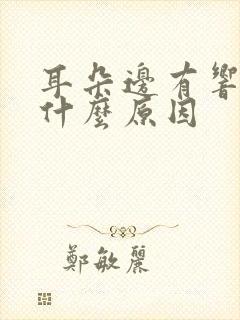 耳朵边有响声是什么原因