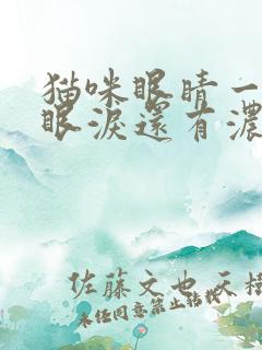 猫咪眼睛一直流眼泪还有浓浓的眼屎