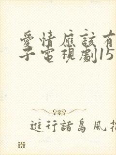 爱情应该有的样子电视剧15集