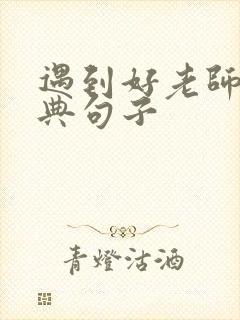 遇到好老师的经典句子